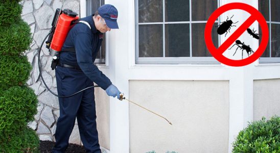 Pazarcık Böcek İlaçlama böcek ilaçlama ve haşere kontrolü — ilaclama-tr.com